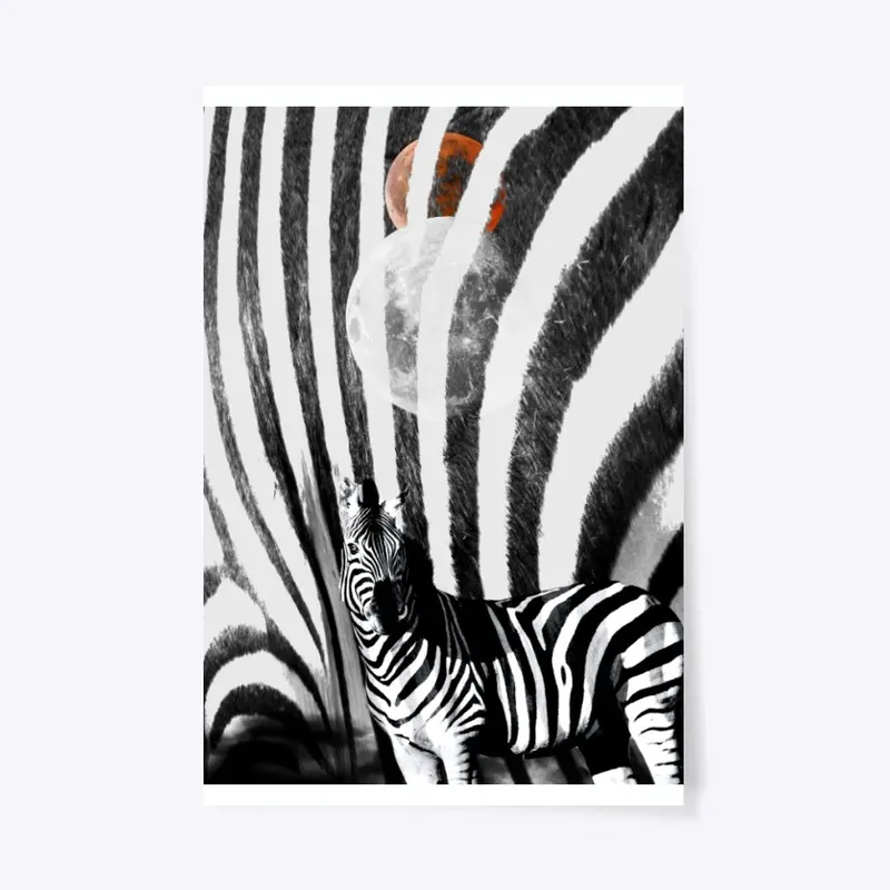 Zebra Moons